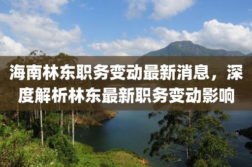 海南林东职务变动最新消息，深度解析林东最新职务变动影响