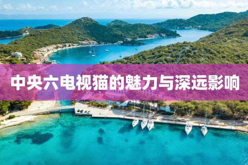 中央六电视猫的魅力与深远影响