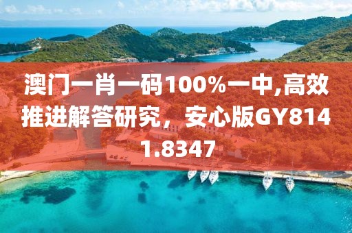 澳门一肖一码100%一中,高效推进解答研究，安心版GY8141.8347