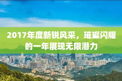 2017年度新锐风采，璀璨闪耀的一年展现无限潜力