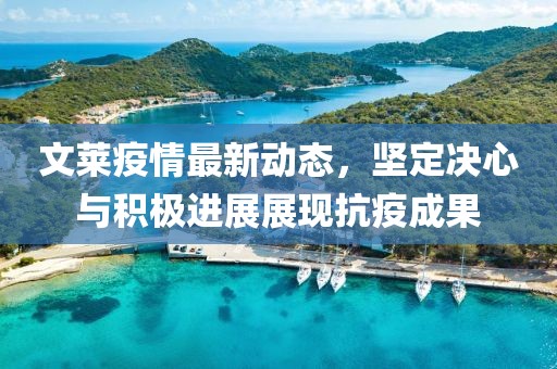 文莱疫情最新动态，坚定决心与积极进展展现抗疫成果
