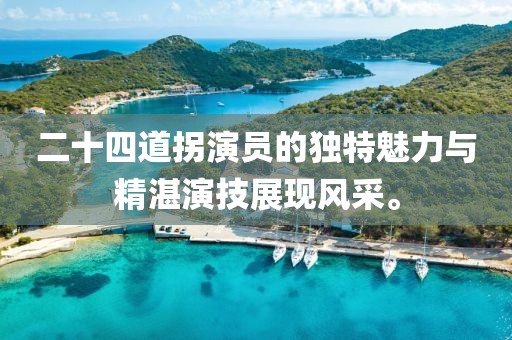 二十四道拐演员的独特魅力与精湛演技展现风采。