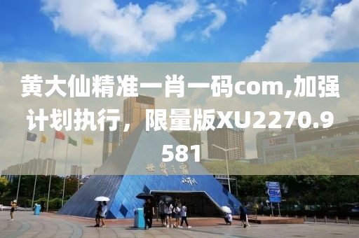 黄大仙精准一肖一码com,加强计划执行，限量版XU2270.9581