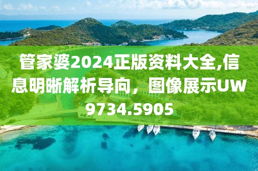 管家婆2024正版资料大全,信息明晰解析导向，图像展示UW9734.5905