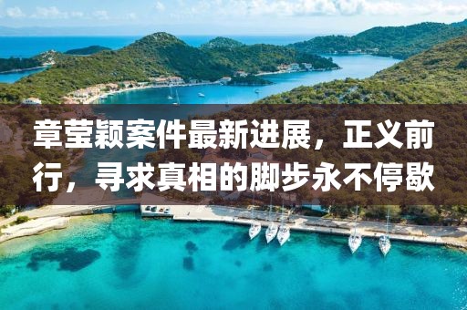 章莹颖案件最新进展，正义前行，寻求真相的脚步永不停歇