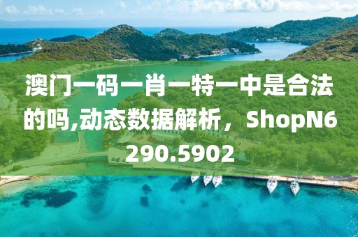 澳门一码一肖一特一中是合法的吗,动态数据解析，ShopN6290.5902