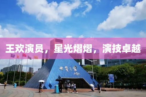 王欢演员，星光熠熠，演技卓越