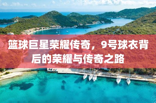 篮球巨星荣耀传奇，9号球衣背后的荣耀与传奇之路