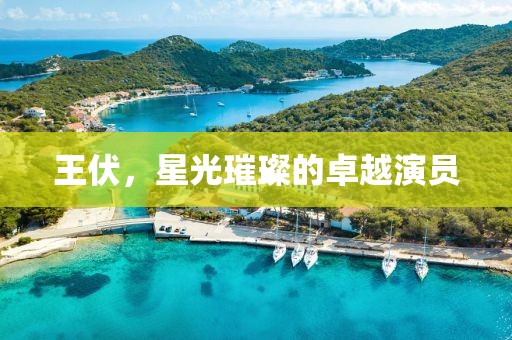 王伏，星光璀璨的卓越演员