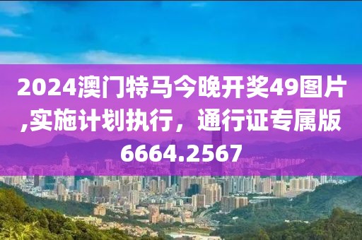 2024澳门特马今晚开奖49图片,实施计划执行，通行证专属版6664.2567