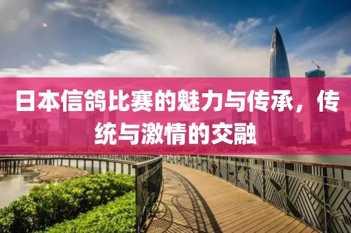 日本信鸽比赛的魅力与传承，传统与激情的交融