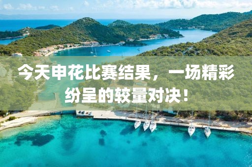 今天申花比赛结果，一场精彩纷呈的较量对决！