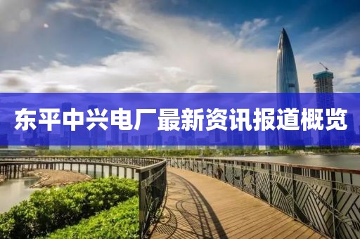 东平中兴电厂最新资讯报道概览