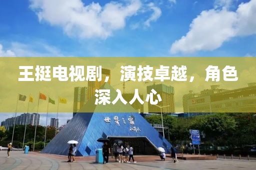 王挺电视剧，演技卓越，角色深入人心