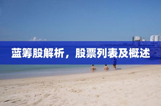 蓝筹股解析，股票列表及概述