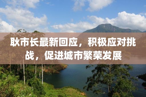 耿市长最新回应，积极应对挑战，促进城市繁荣发展