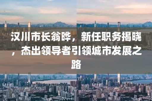 汉川市长翁晔，新任职务揭晓，杰出领导者引领城市发展之路