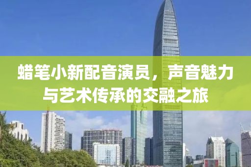 蜡笔小新配音演员，声音魅力与艺术传承的交融之旅