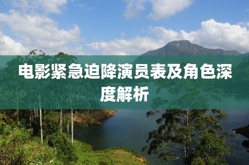 电影紧急迫降演员表及角色深度解析