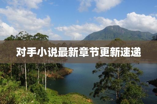 对手小说最新章节更新速递