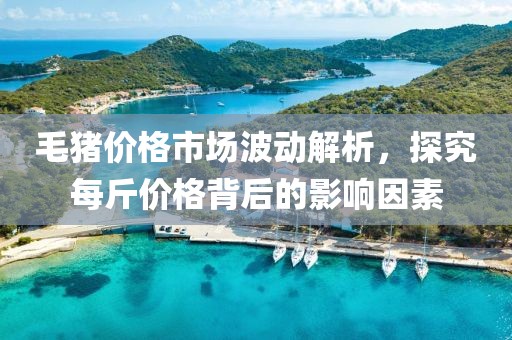 毛猪价格市场波动解析，探究每斤价格背后的影响因素