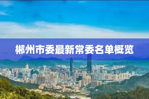 郴州市委最新常委名单概览