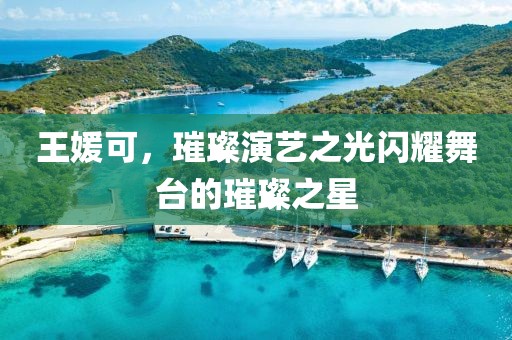王媛可，璀璨演艺之光闪耀舞台的璀璨之星