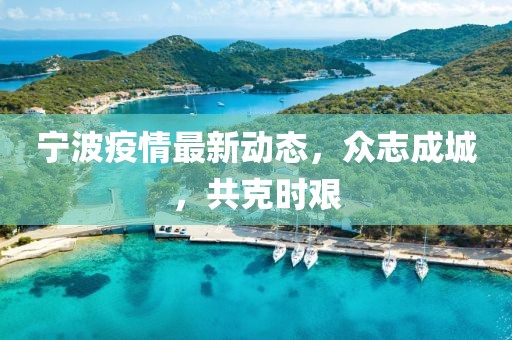 宁波疫情最新动态，众志成城，共克时艰