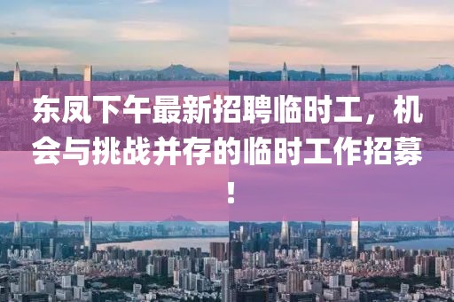 东凤下午最新招聘临时工，机会与挑战并存的临时工作招募！