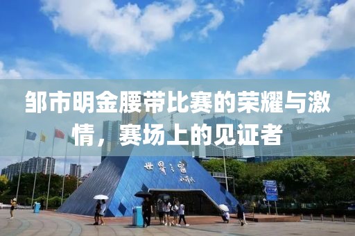 邹市明金腰带比赛的荣耀与激情，赛场上的见证者