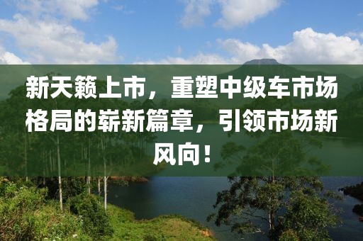 新天籁上市，重塑中级车市场格局的崭新篇章，引领市场新风向！
