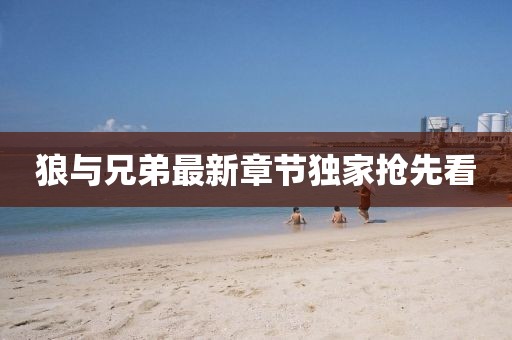 狼与兄弟最新章节独家抢先看