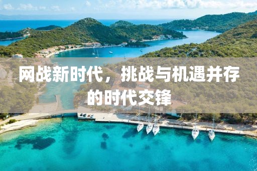 网战新时代，挑战与机遇并存的时代交锋