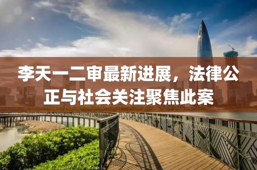 李天一二审最新进展，法律公正与社会关注聚焦此案