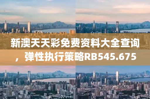 新澳天天彩免费资料大全查询，弹性执行策略RB545.675