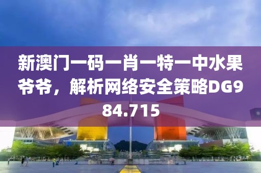 新澳门一码一肖一特一中水果爷爷，解析网络安全策略DG984.715