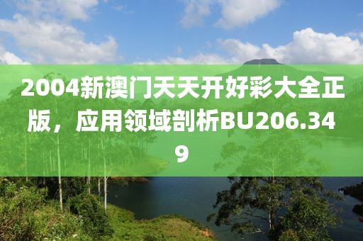 2004新澳门天天开好彩大全正版，应用领域剖析BU206.349