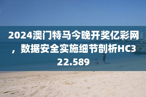 2024澳门特马今晚开奖亿彩网，数据安全实施细节剖析HC322.589