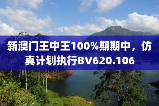 新澳门王中王100%期期中，仿真计划执行BV620.106