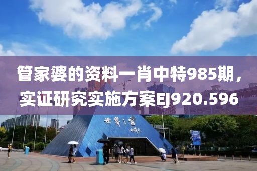 管家婆的资料一肖中特985期，实证研究实施方案EJ920.596