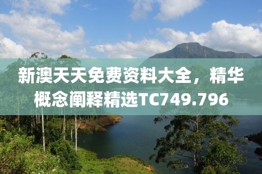 新澳天天免费资料大全，精华概念阐释精选TC749.796