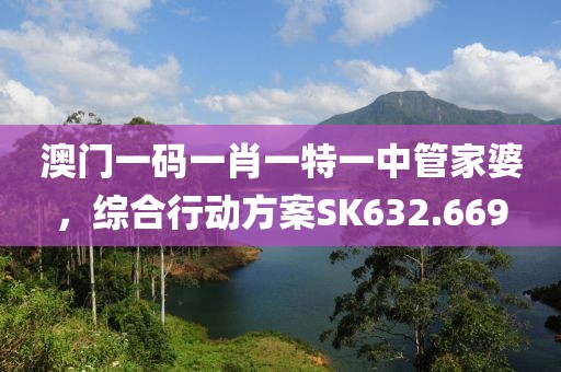 澳门一码一肖一特一中管家婆，综合行动方案SK632.669