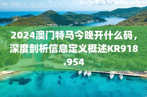 2024澳门特马今晚开什么码，深度剖析信息定义概述KR918.954