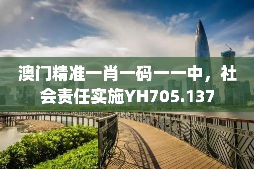 澳门精准一肖一码一一中，社会责任实施YH705.137