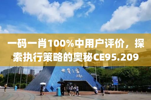 一码一肖100%中用户评价，探索执行策略的奥秘CE95.209