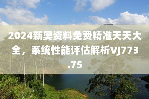 2024新奥资料免费精准天天大全，系统性能评估解析VJ773.75