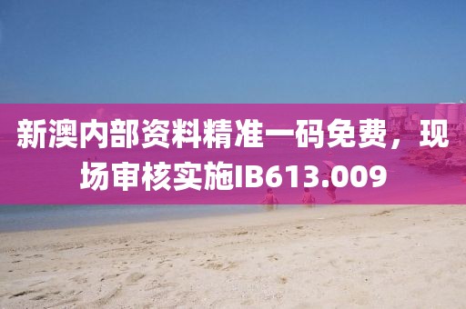 新澳内部资料精准一码免费，现场审核实施IB613.009