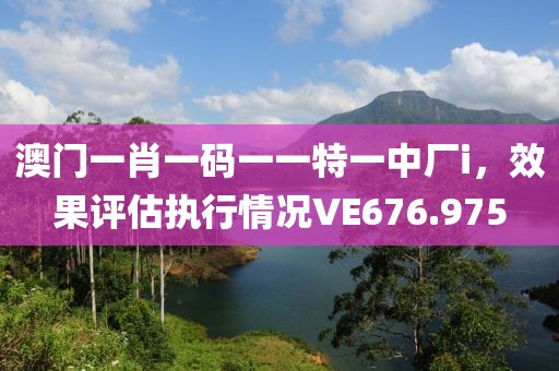 澳门一肖一码一一特一中厂i，效果评估执行情况VE676.975