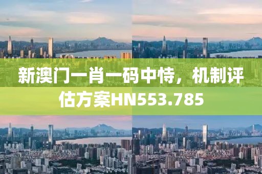 新澳门一肖一码中恃，机制评估方案HN553.785