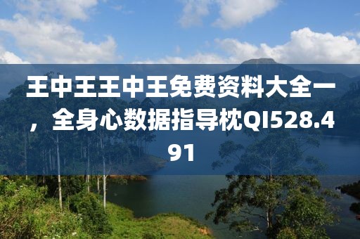 王中王王中王免费资料大全一，全身心数据指导枕QI528.491